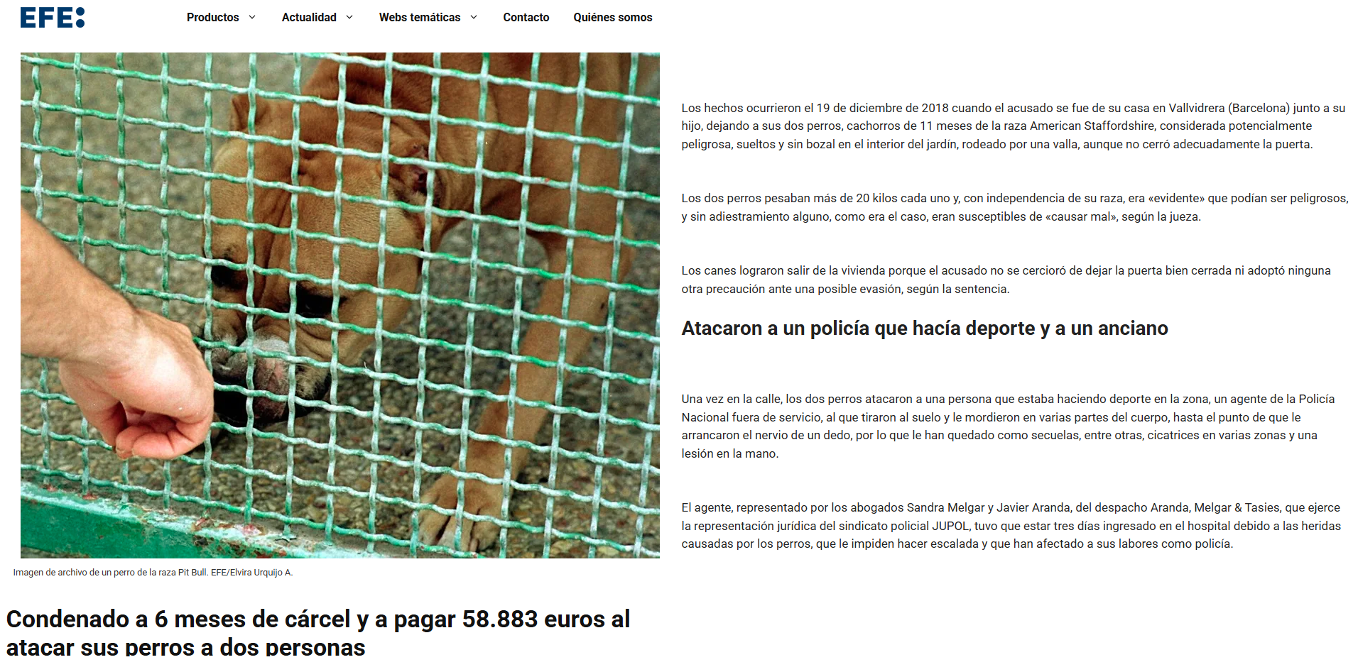lesiones perro peligroso policia